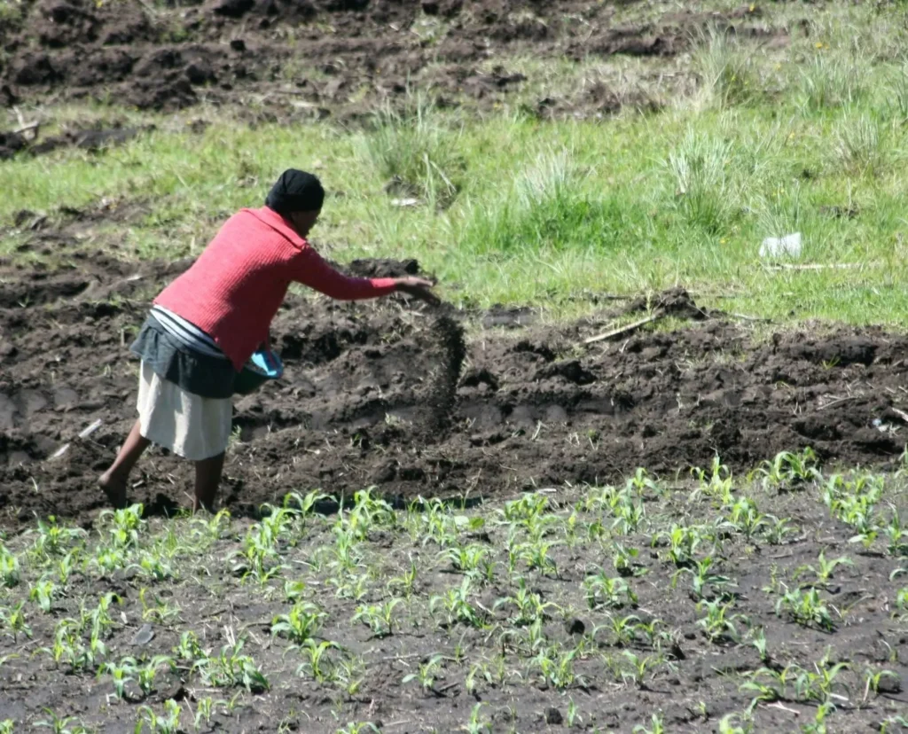 خرید کود کشاورزی در زنجان با قیمت درب کارخانه