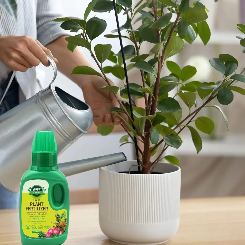 میزان مصرف کود مایع برای گیاهان آپارتمانی